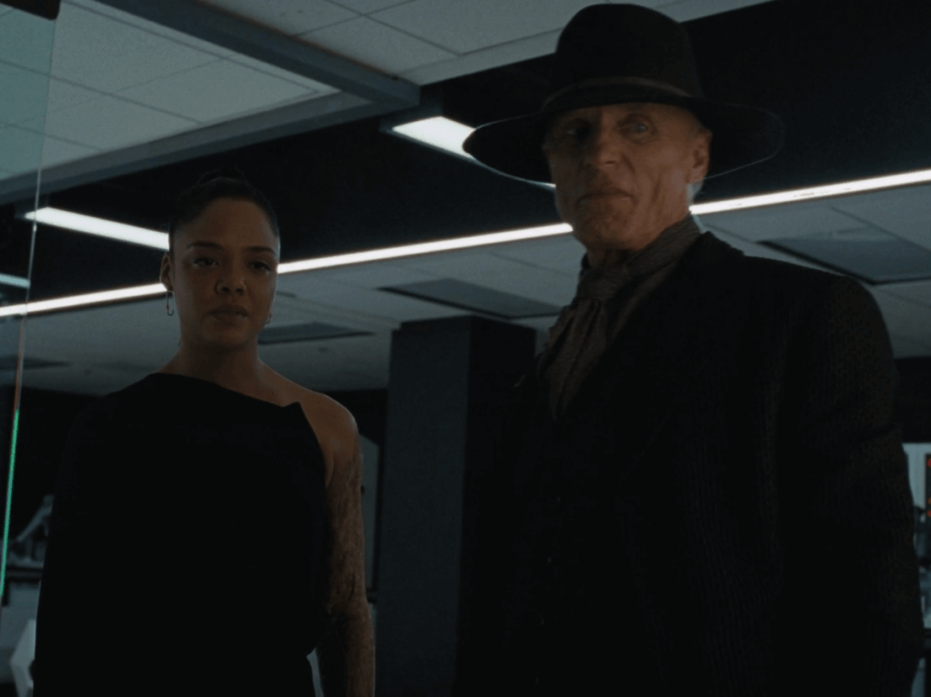 Westworld, Crisis Theory