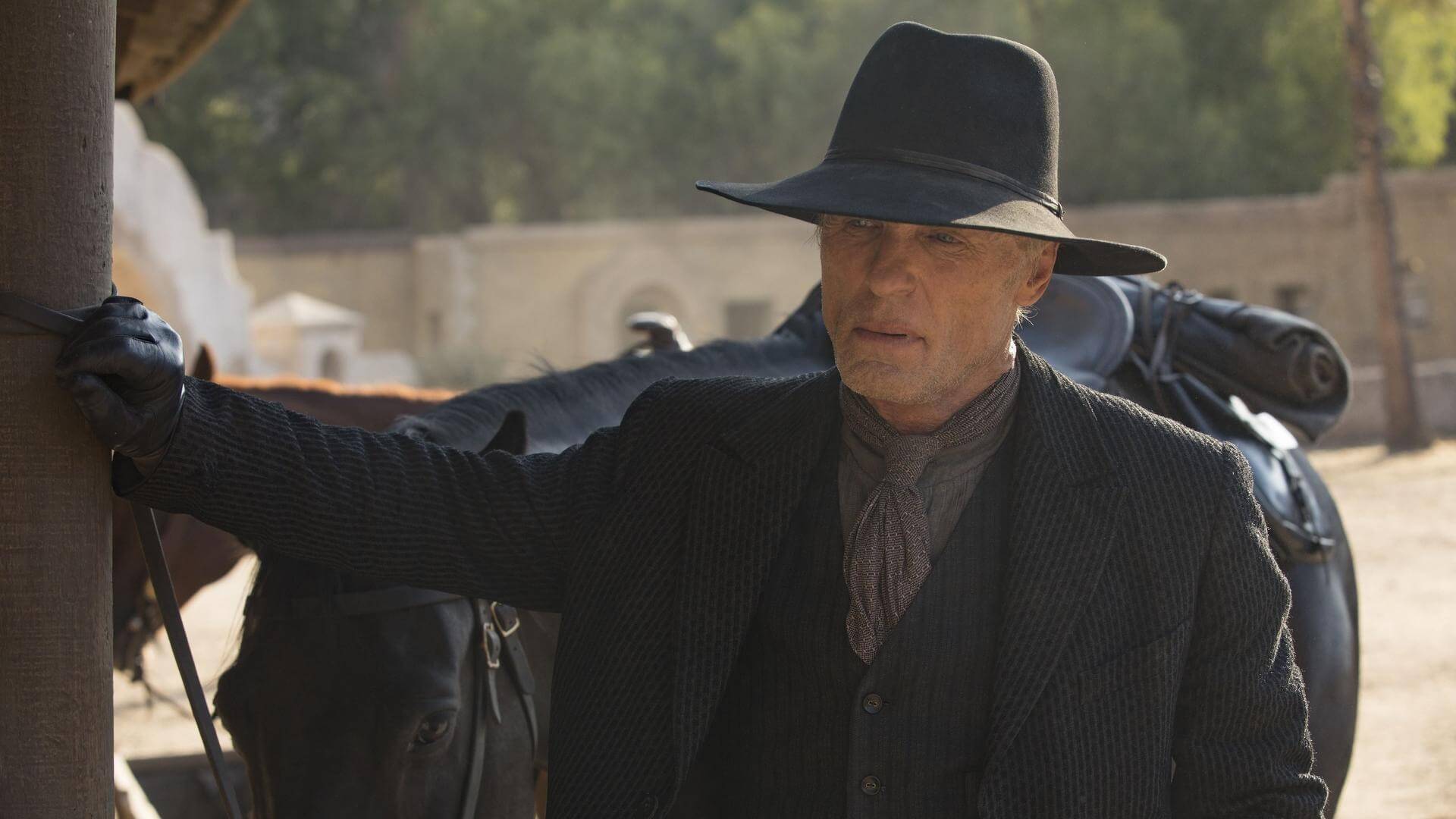 Ed Harris, Man in Black, Westworld, Riddle of the Sphinx