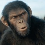 The Truth About The Kingdom of the Planet of the Apes Box Office