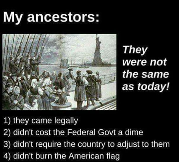 My Ancestors