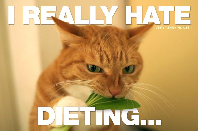funny-pictures-i-really-hate-dieting