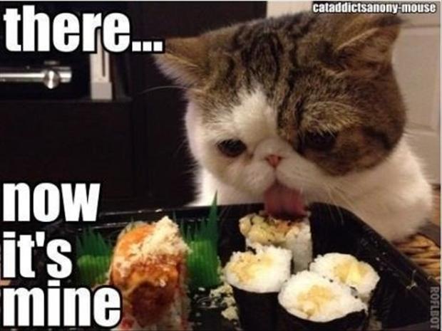funny-pictures-cat-eating-food