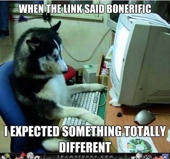 Funny-Computer-Meme-When-The-Link-Said-Bonerific-I-Expected-Something-Totally-Different-Image