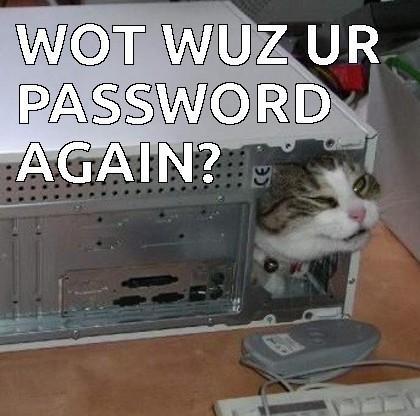 Wot-Wuz-Ur-Password-Again-Funny-Computer-Meme-Image