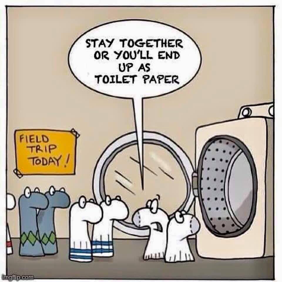 toilet-paper-4