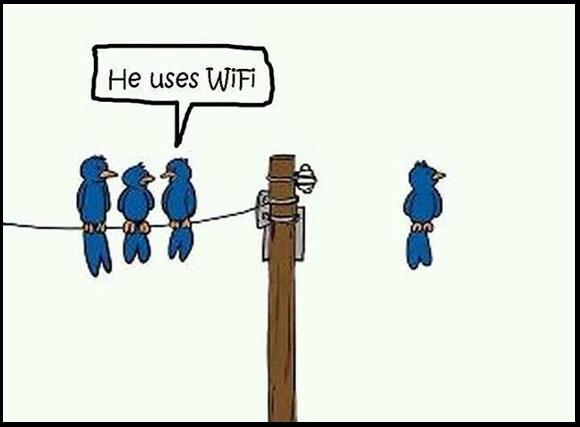 He-Uses-Wifi-Funny-Technology-Birds-Cartoon