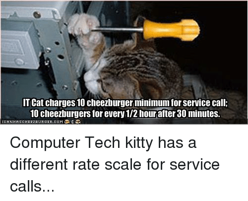 it-cat-charges-10-cheezburger-minimumforservice-call-10-cheezburgers-for-22576986