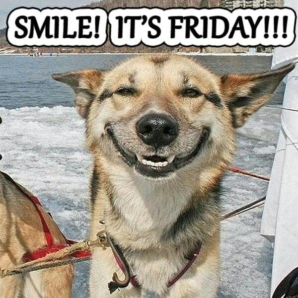 Smiling-Dog-Meme-Smile-Its-Friday