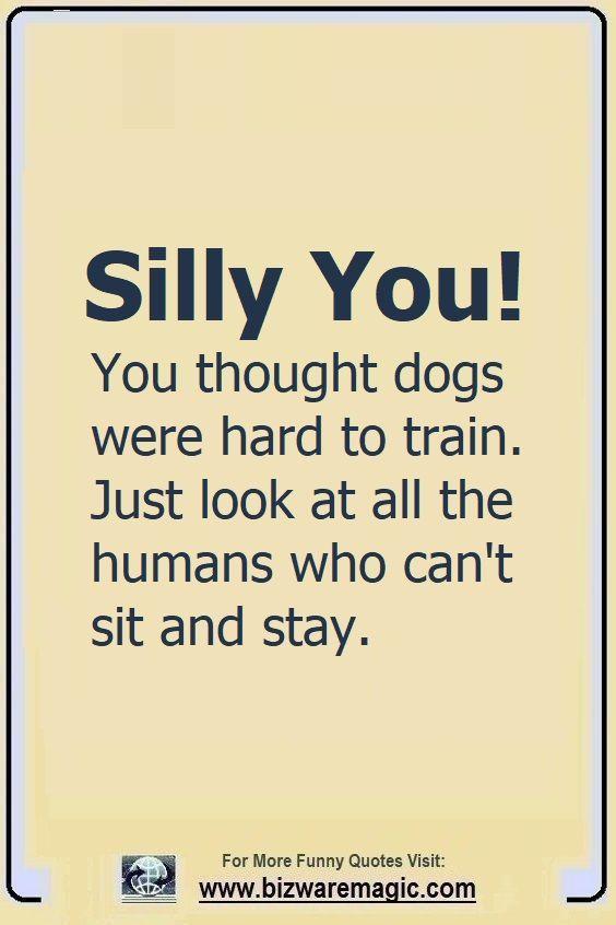 silly you