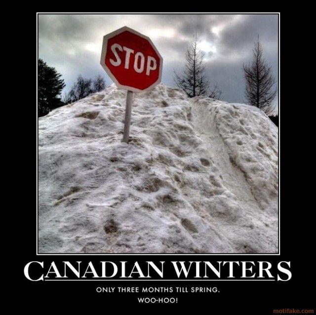 1d3e7b56088b23d0ac0d650e390816c4--canadian-memes-canadian-humour