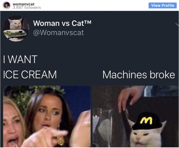 woman-yelling-at-a-cat-ice-cream-meme
