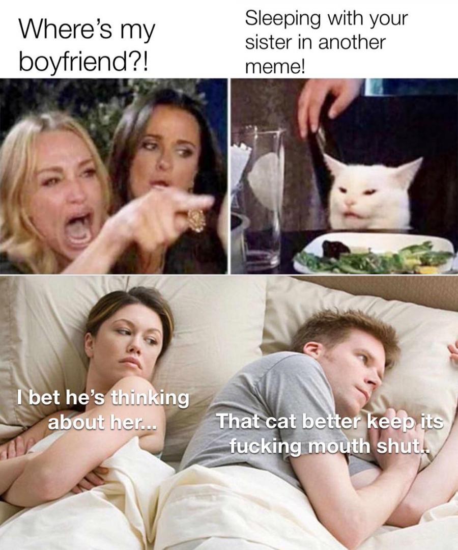 woman-yelling-at-a-cat-bet-hes-thinking-about-other-women-crossover-meme