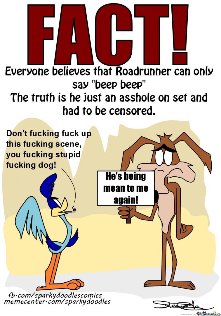 sparky-doodles-truth-about-roadrunner_o_2081053