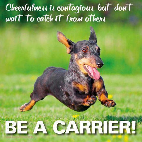 be a carrier