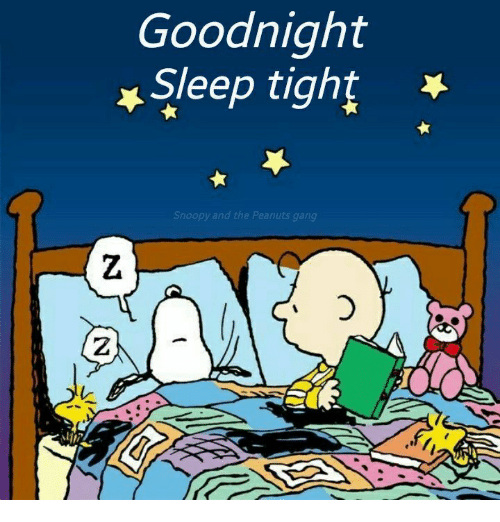 goodnight-sleep-tight-snoopy-and-the-peanuts-gang-17818199