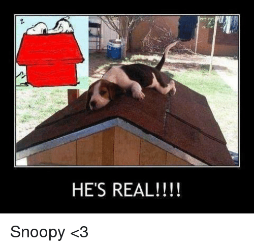 hes-real-snoopy-_3-8905740