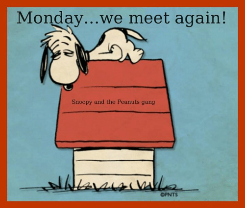 monday-we-meet-again-snoopy-and-the-peanuts-gang-4413396