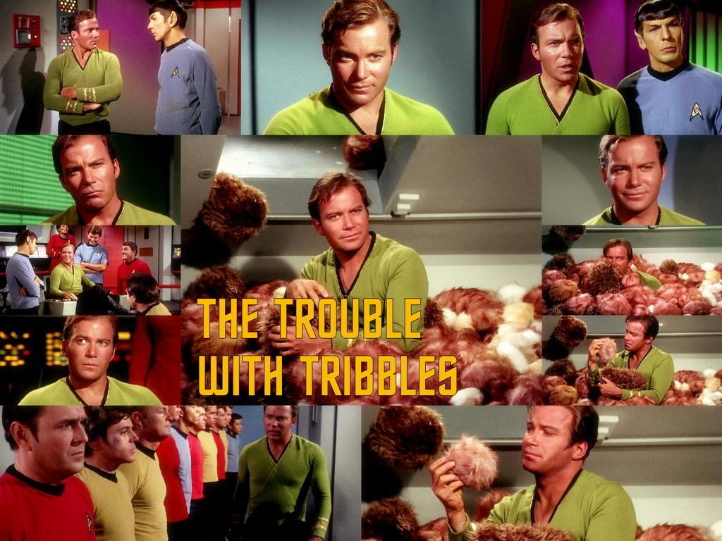 The-Trouble-With-Tribbles-star-trek-the-original-series-17676959-1024-768