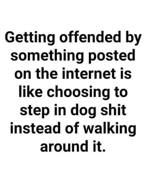 Offended-by-something-on-the-internet...-500x624