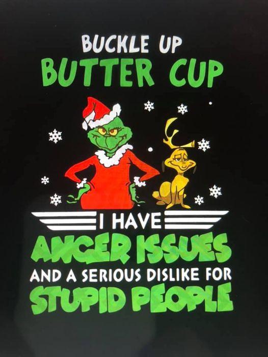 grinch buckle up