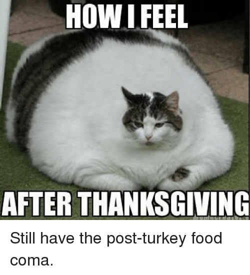 howifeel-after-thanksgiving-still-have-the-post-turkey-food-coma-29246607