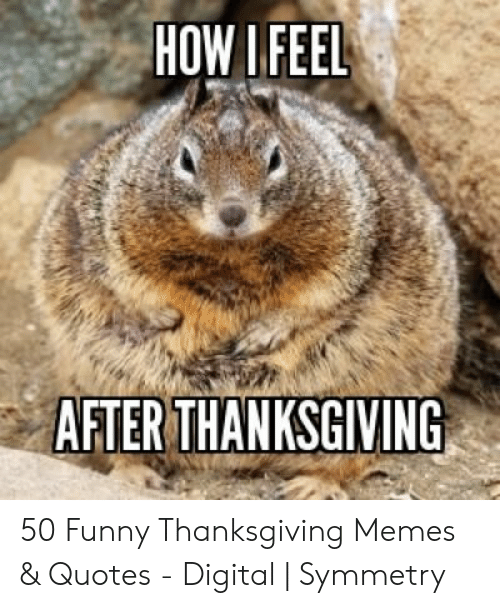 how-ifeel-after-thanksgiving-50-funny-thanksgiving-memes-quotes-51101268