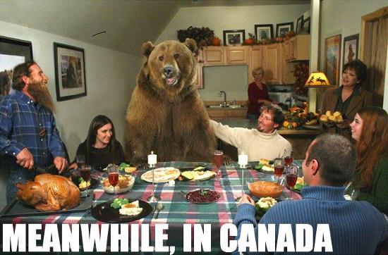 best-canadian-thanksgiving-memes
