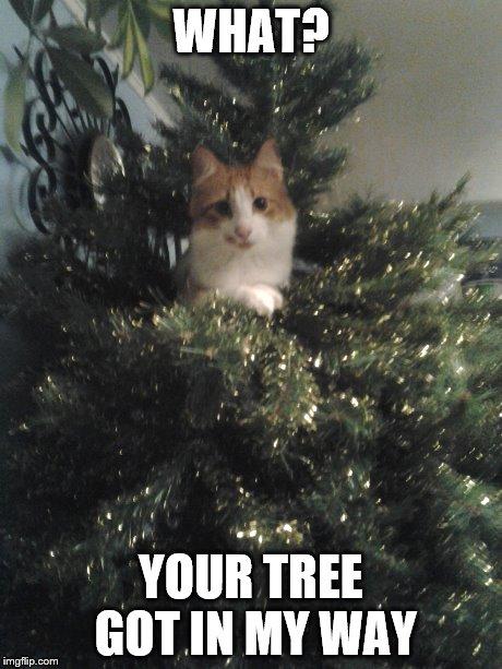 what-your-tree-got-in-my-way-funny-christmas-memes