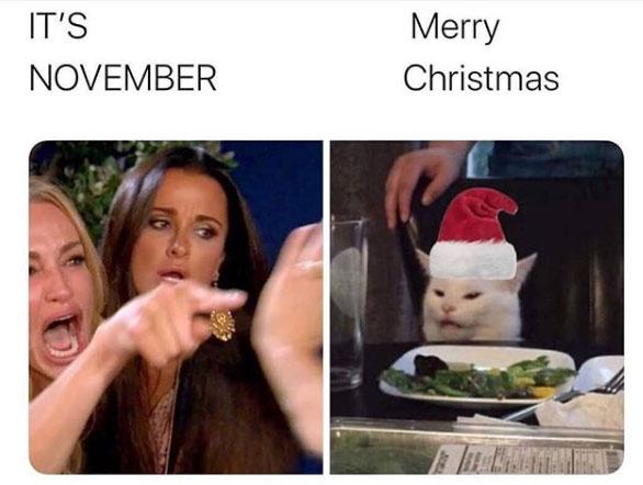woman-yelling-at-a-cat-its-november-merry-christmas
