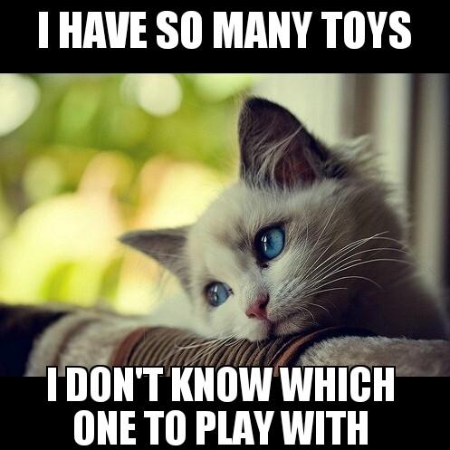 i-found-a-meme-titled-first-world-cat-problems-had-to-do-it-77921