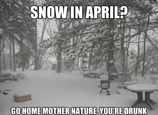 snow-in-april-meme