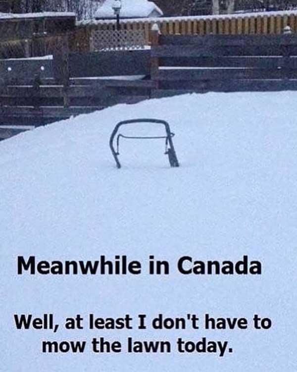 meanwhile-in-canada...-snow-meme