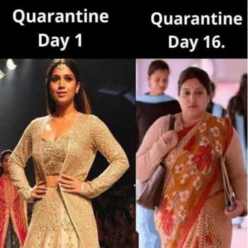 Quarantine-memes-13