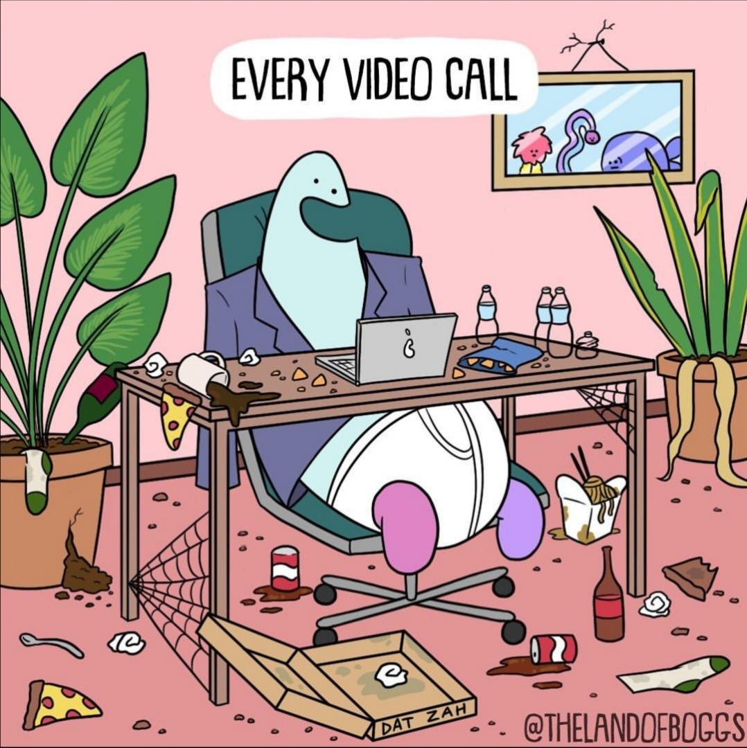 every-video-call