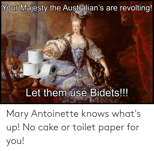 mary-antoinette-knows-whats-up-no-cake-or-toilet-paper-70326270