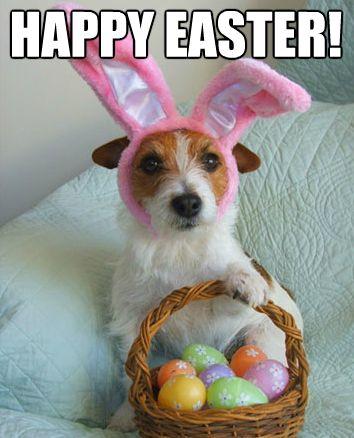 Happy-Easter-Memes