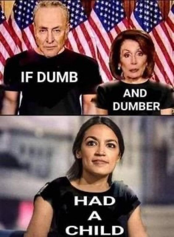 AOC-Nancy-Pelosi-Chuck-Schumer-If-Dumb-And-Dumber-Had-A-Child