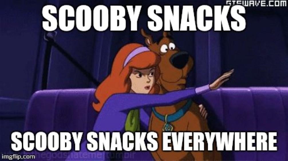 1508762727_44_hilarious-scooby-doo-memes-for-scooby-doo-fans