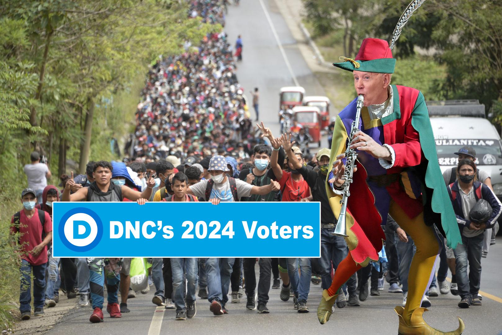 DNC'S 2024 VOTERS meme
