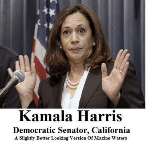 kamala-harris-democratic-senator-california-a-slightly-better-looking-version-22864453