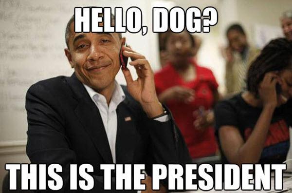 barack-obama-hello-dog-memes