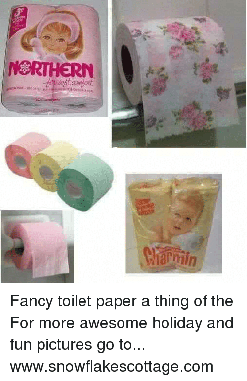 northern-charmin-fancy-toilet-paper-a-thing-of-the-for-8053006