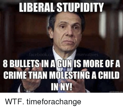 liberal-stupidity-facebook-co-nservatives-8-bullets-inagun-is-more-12607340