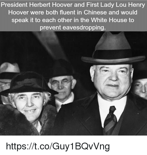 president-herbert-hoover-and-first-lady-lou-henry-hoover-were-36819810