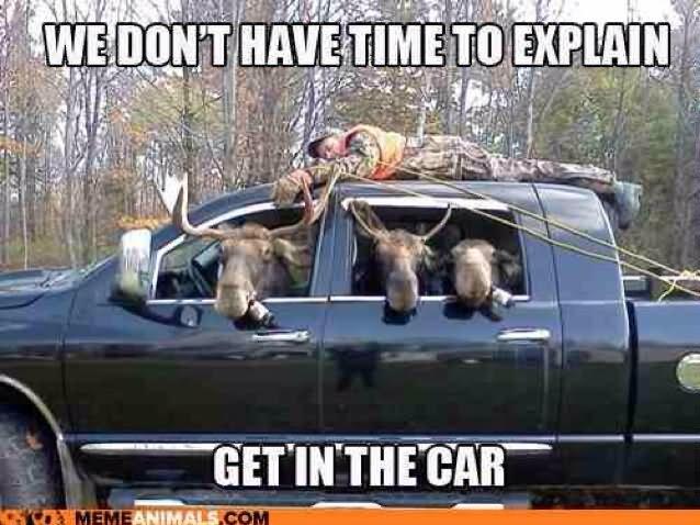We-Dont-Have-Time-To-Explain-Get-In-The-Car-Funny-Animal-Meme-Picture