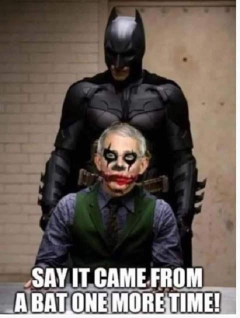 batman-joker-dr-fauci-say-came-from-bat-one-more-time