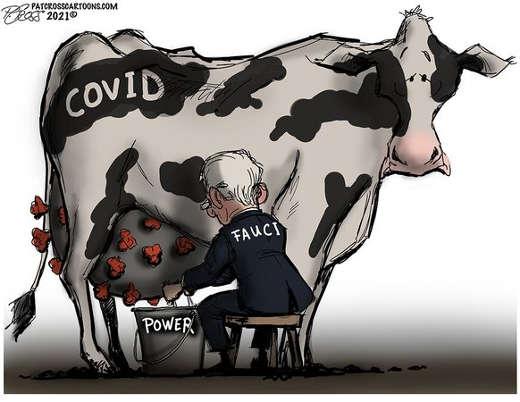 dr-fauci-milking-cow-covid-power