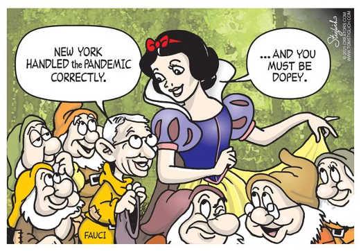 new-york-handlied-pandemic-correctly-snow-white-you-must-be-dopey-dr-fauci