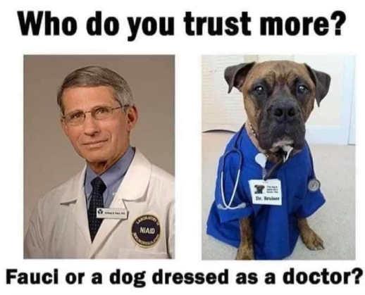 question-trust-more-dr-fauci-dog-dresses-as-doctor