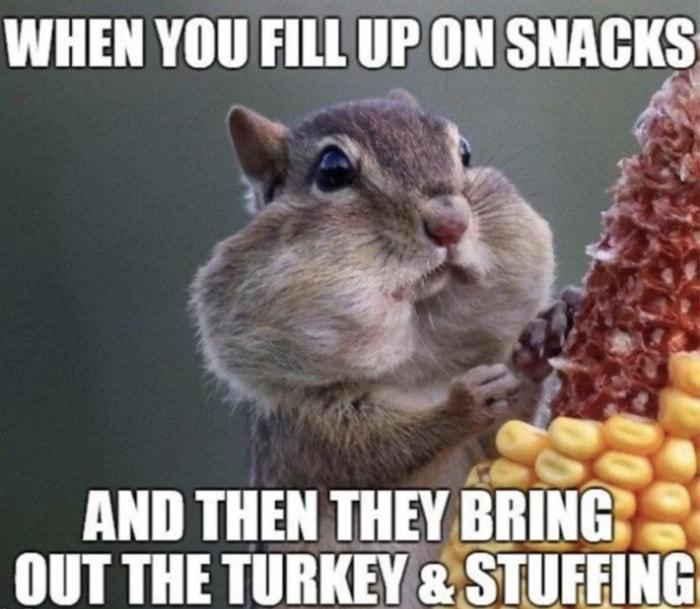 Thanksgiving-Memes-22